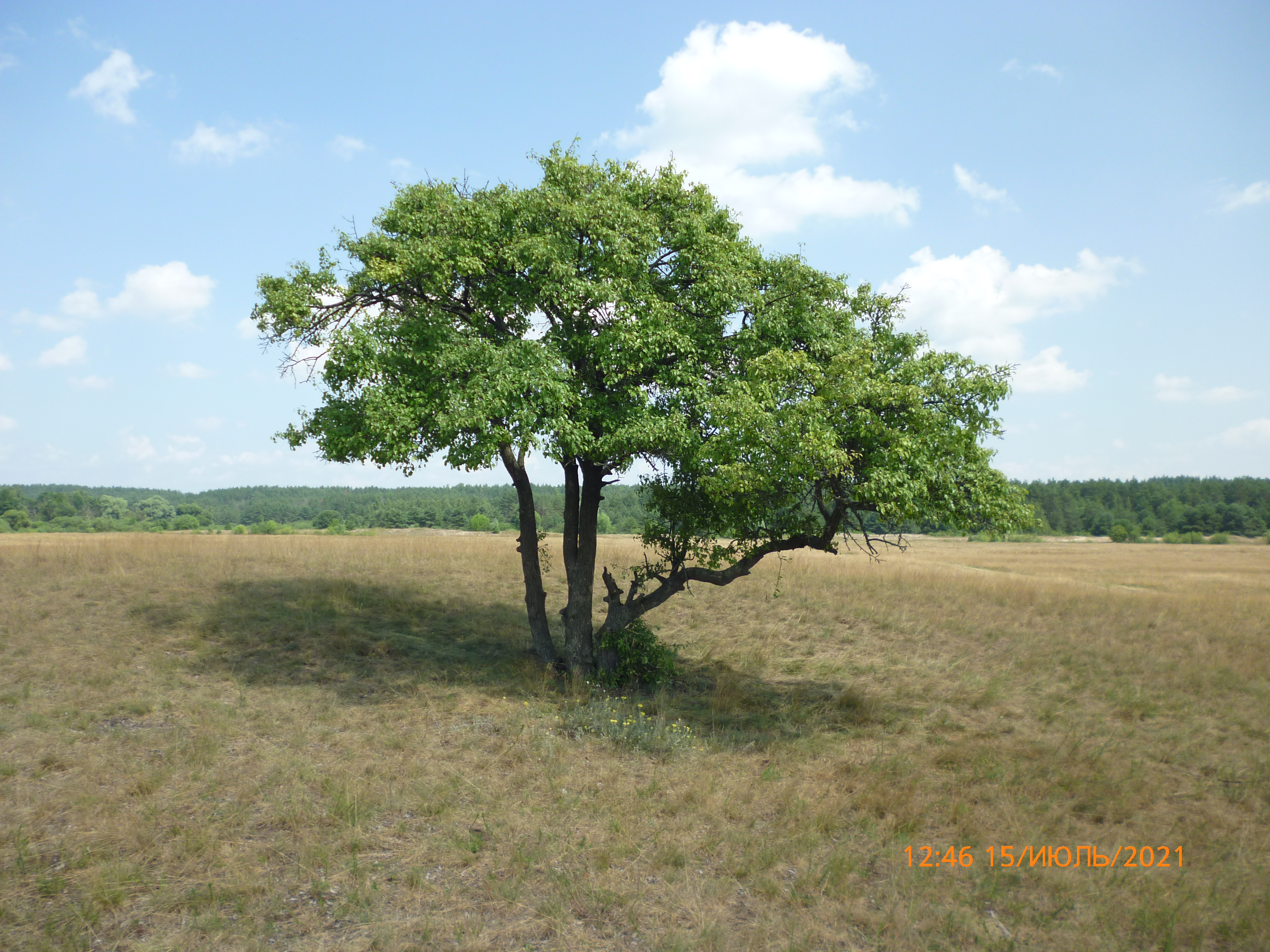 фото времени