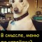Меню