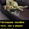Соб@к@