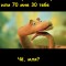 38 попугаев