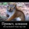 Белочка