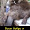 В пятницу