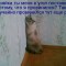 В углу