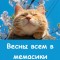 Весенний кот