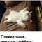 График 2 на 2