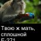 Е-271
