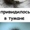 Ёжик в тумане