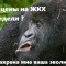 ЖКХ