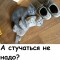 Киски