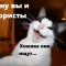 Котэ