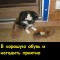 Нагадить