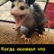 Осознание