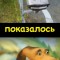 Показалось