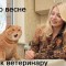 Ужос