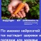Милкимасик № 2