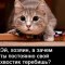Хвостик теребишь