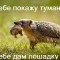 Туман с лошадкой
