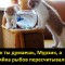 Шкодят