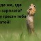 Где зарплата