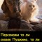 Персонажи