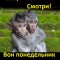 Про понедельник