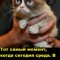 Среда и пятница