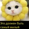 Милота