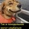Отпуск
