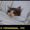 Понедельничек