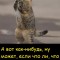 Просьбочка