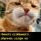 40лет