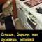 Барсики