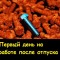 Болт