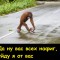 Все нафиг