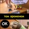 Из жизни