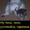 Кусь